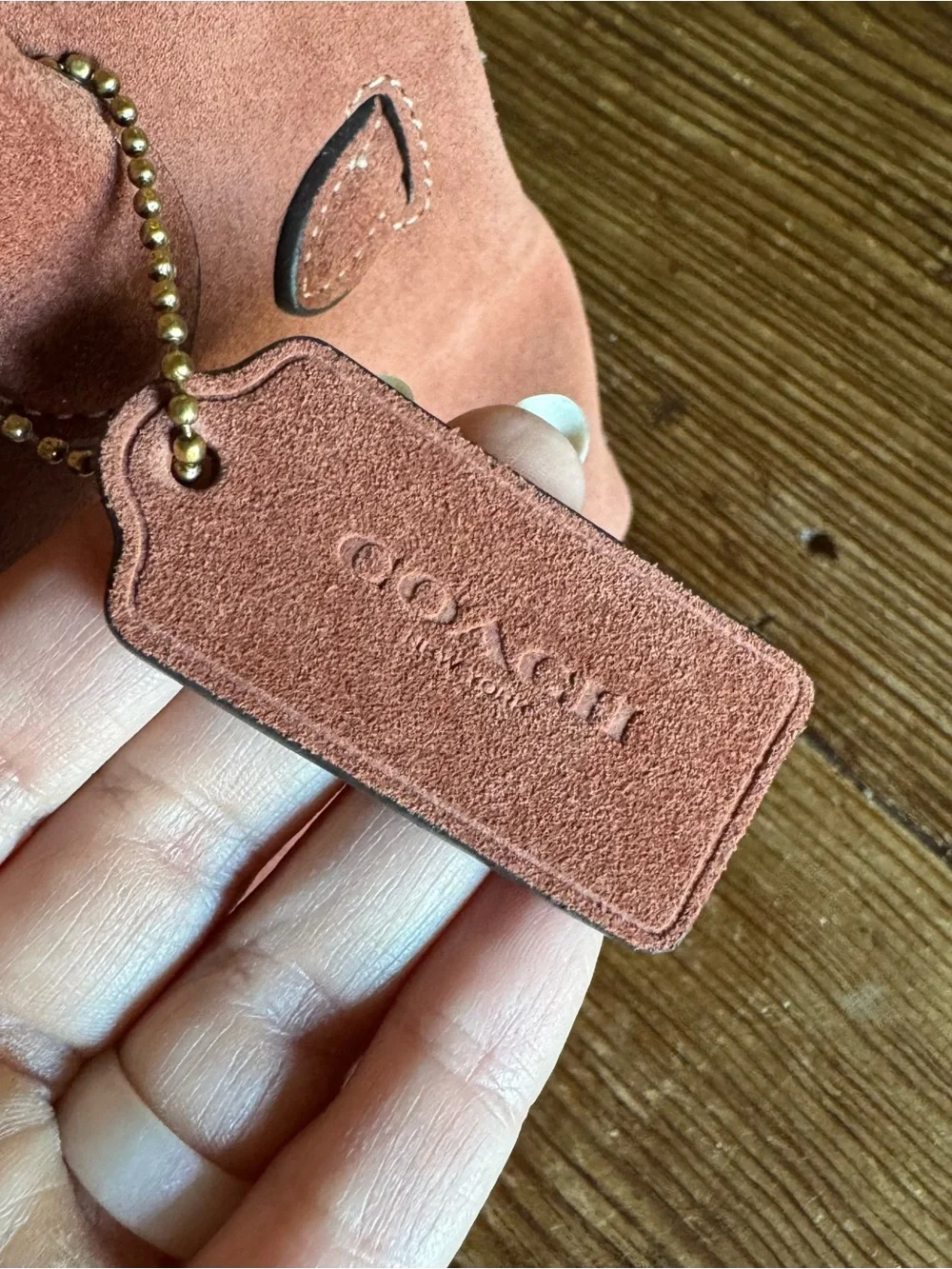 COACH Soft Empire 21 Bag in Clay Suede